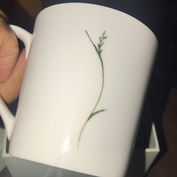 NWT Madeleine Floyd butterfly 🦋 mug - Picture 6 of 9